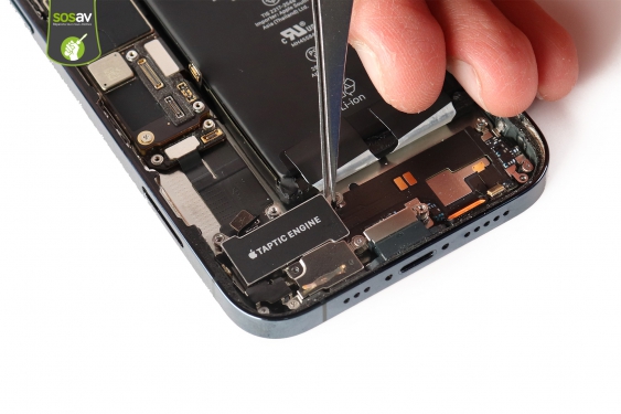 Guide photos remplacement vibreur / taptic engine iPhone 12 Pro (Etape 21 - image 2)