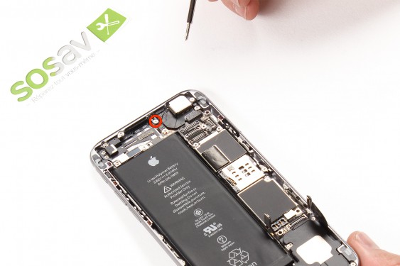 Guide photos remplacement câble d'interconnexion wifi et bluetooth iPhone 6 (Etape 13 - image 1)