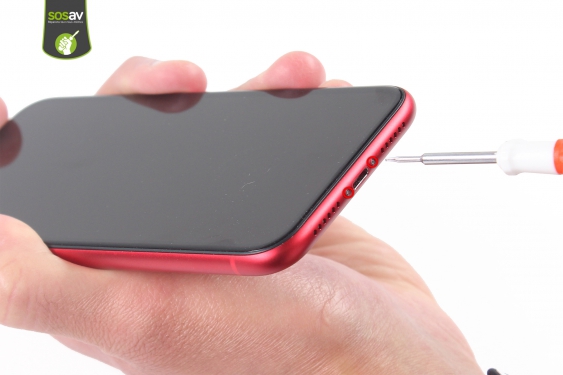 Guide photos remplacement vibreur / taptic engine iPhone 11 (Etape 4 - image 1)